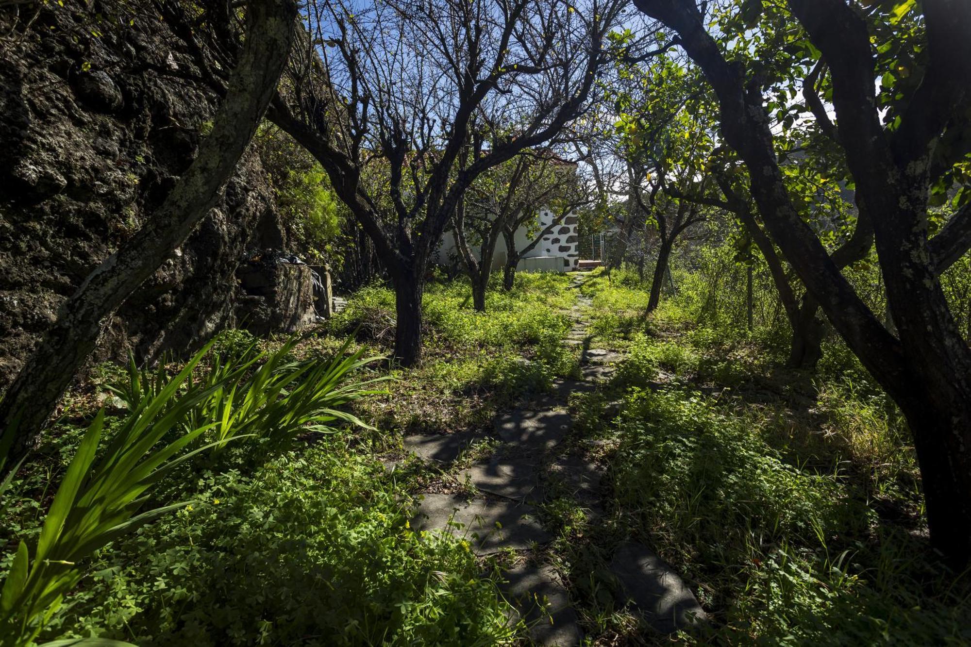 Casa Rural La Escalerilla Teror Luaran gambar